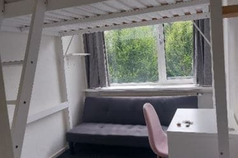 house image