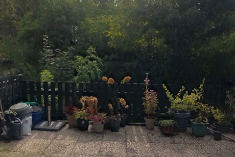 house image