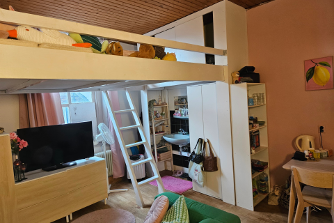 house image