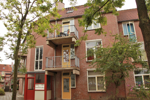 house image