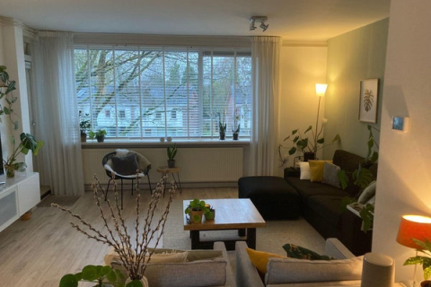 house image