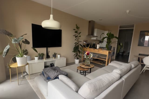 house image