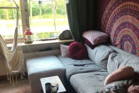 house image
