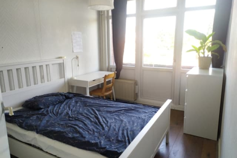 house image