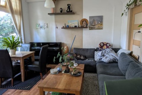 house image