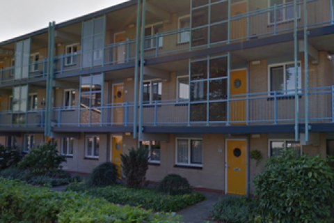 house image