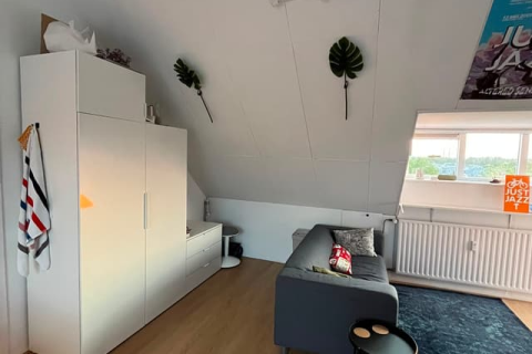 house image
