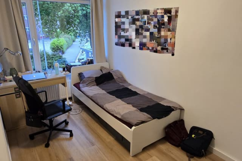 house image