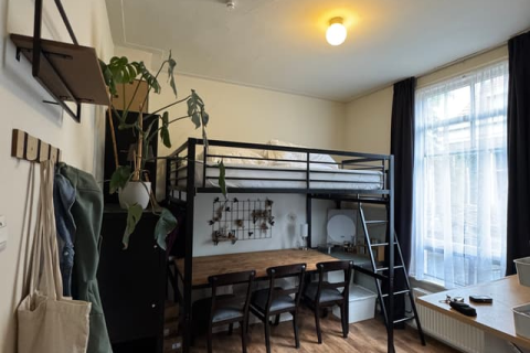 house image