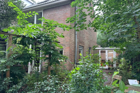 house image