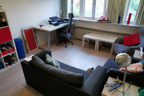 house image