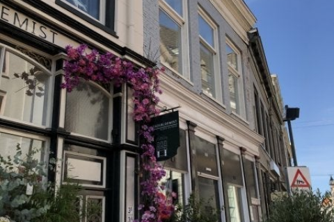 house image
