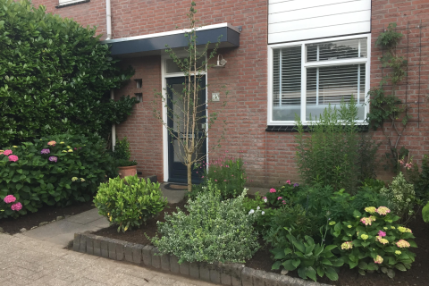 house image