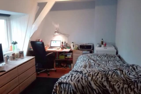 house image