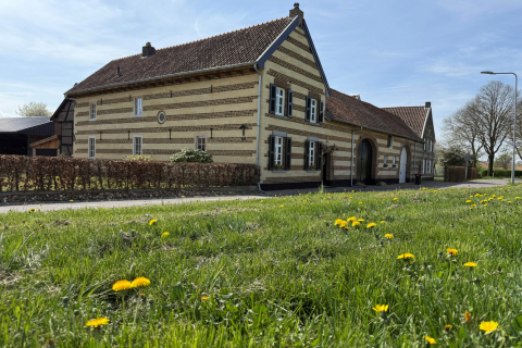 house image