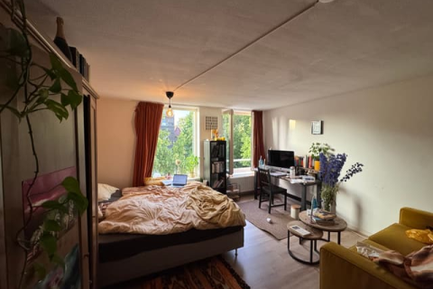 house image
