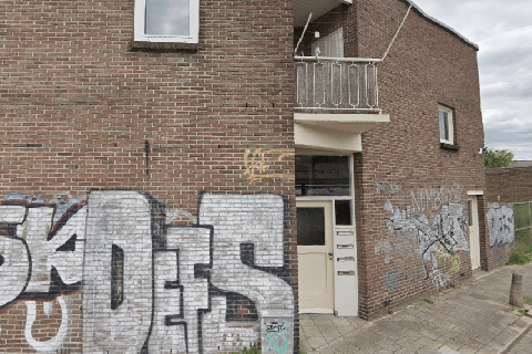 house image