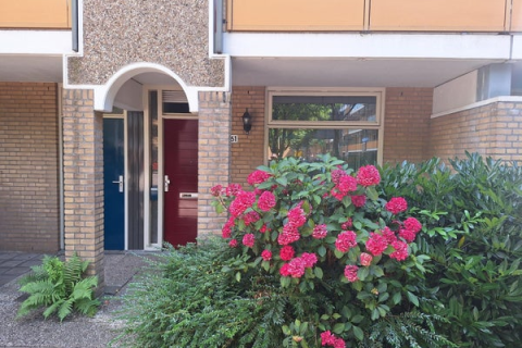 house image
