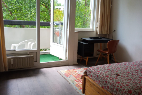 house image