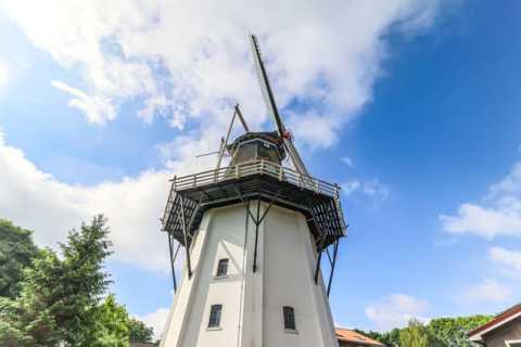 house image