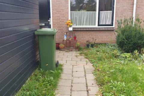 house image