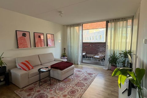 house image