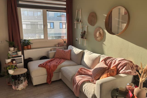 house image