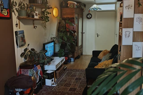 house image