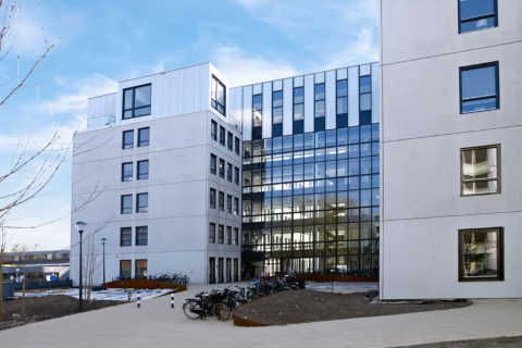 house image