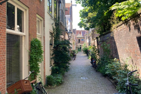 house image