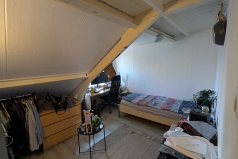 house image