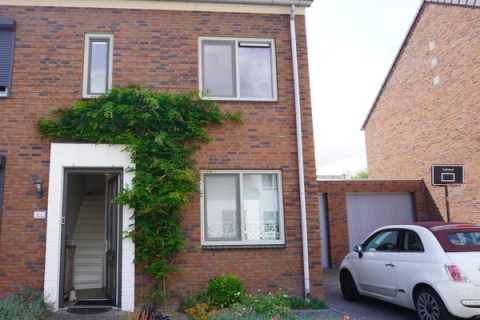 house image