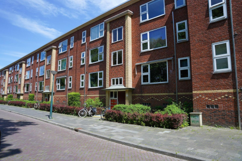 house image