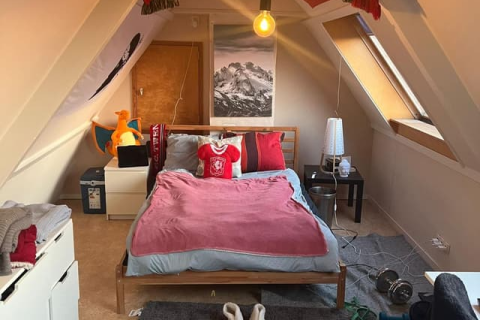 house image