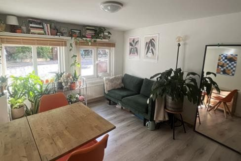 house image