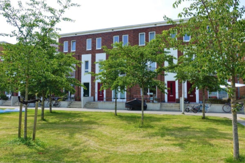 house image