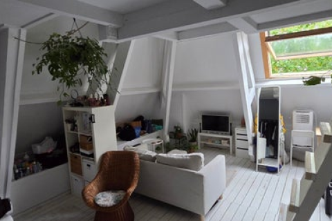 house image