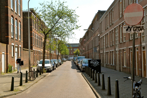 house image