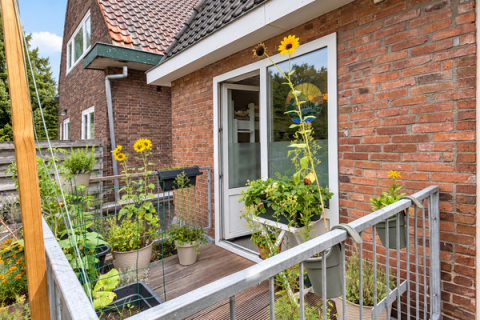 house image