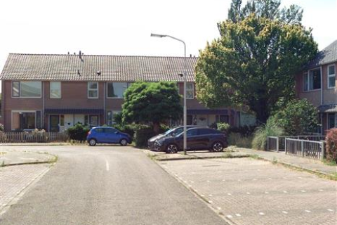 house image