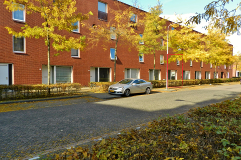 house image