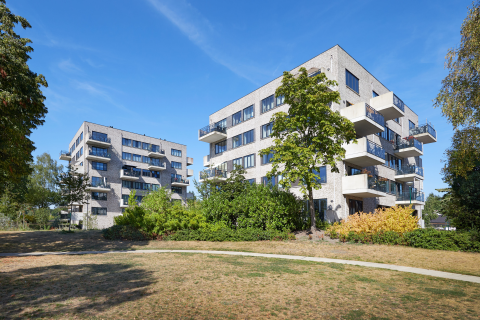 house image