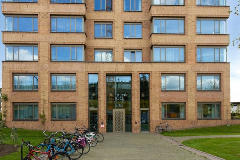 house image