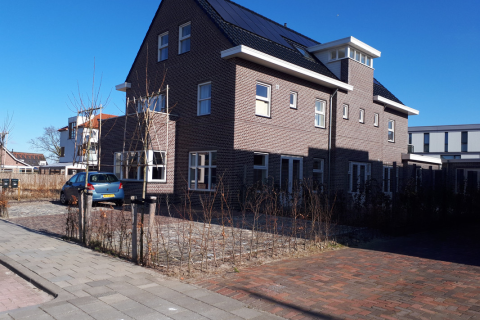 house image