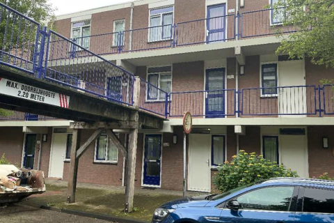 house image