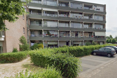 house image