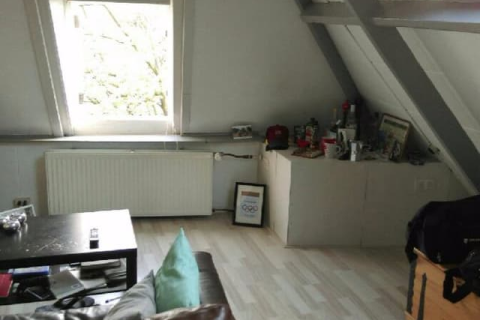 house image