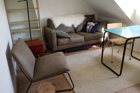 house image