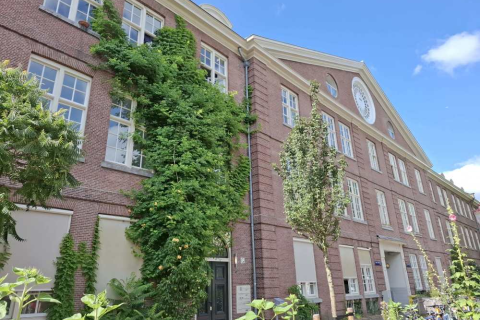 house image