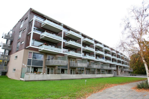 house image